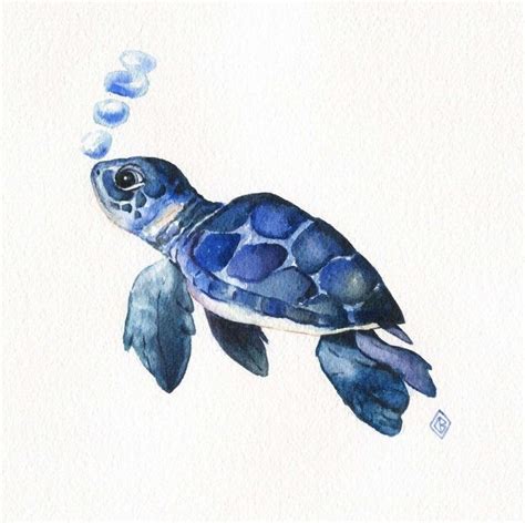 Pin by Vicen Pardo on Conchas de ostras | Turtle watercolor, Turtle art, Sea turtle watercolor