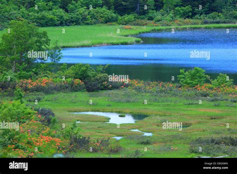 Akita Prefecture, Japan Stock Photo - Alamy