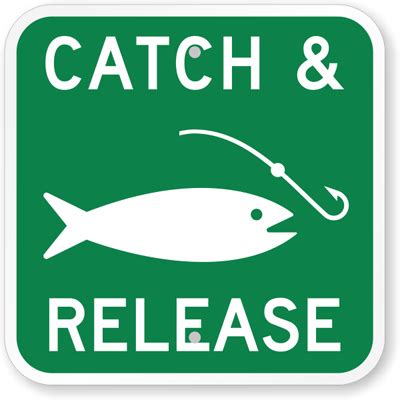 Catch and Release Signs | With Fishing Graphic