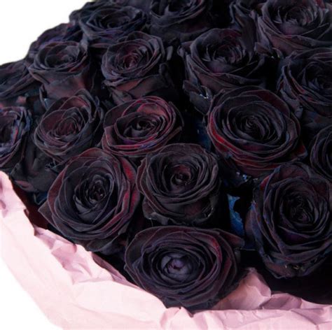 Premium black roses bouquet. Buy in Vancouver. Fresh flowers delivery ...