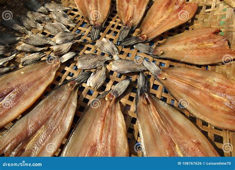 Drying Fish in the Sun for Food Preservation Stock Photo - Image of ...