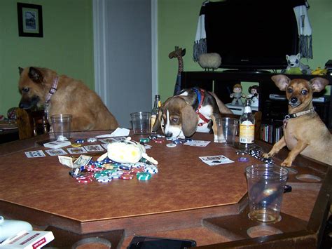 Dogs playing poker...so cliche