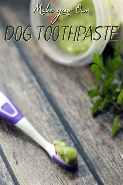 Minty Fresh Homemade Dog Toothpaste Recipe | A Magical Mess