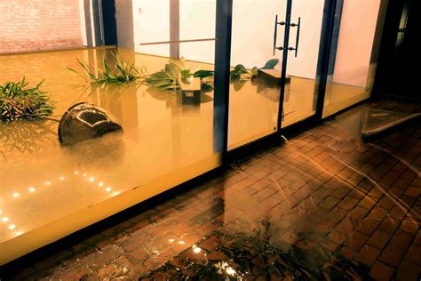 Ways to prevent mold during floods - Competitive Choice Inc.