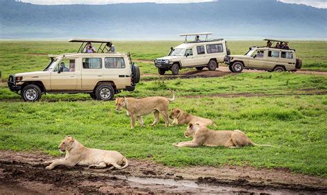 2 days Ngorongoro crater safari | Ngorongoro Conservation Area