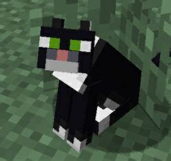 Minecraft ( Computer ) | Wiki | Black Cat Society Amino Amino