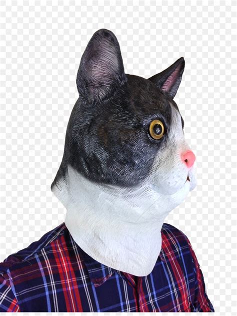 Whiskers Cat Mask Headgear Costume Party, PNG, 960x1280px, Whiskers, Black, Cat, Cat Like Mammal ...