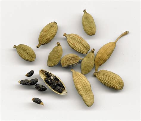 Cardamome - Définition et Explications