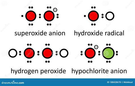 Especies De Oxígeno Reactivas : Peróxido De Hidróxido De Anión Radical ...