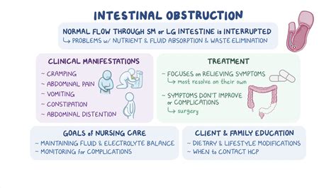 Intestinal obstruction: Nursing - Osmosis Video Library