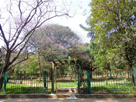 The Garden City of Bangalore - The Wandering Juan