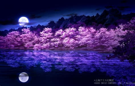 🔥 [20+] Sakura Night Wallpapers | WallpaperSafari