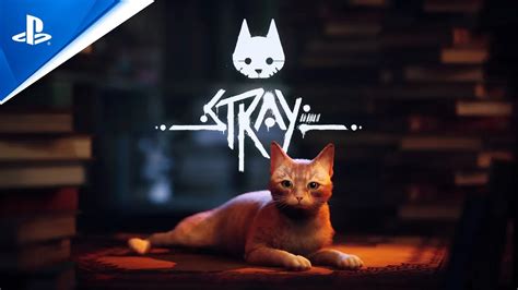 Stray - Jeux PS4 et PS5 | PlayStation (France)