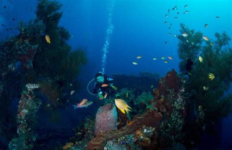 The best scuba diving in Bali - DIVE Magazine