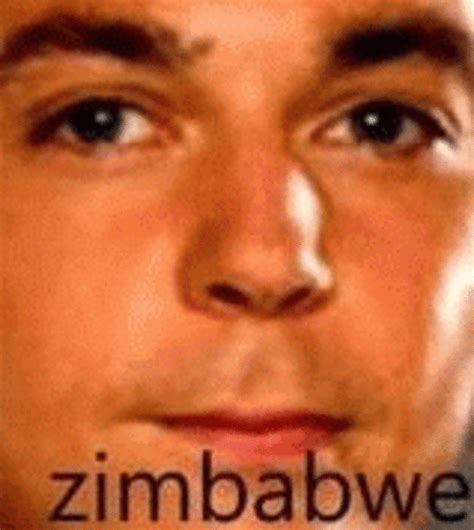 [Image - 470702] | Bazinga | Know Your Meme