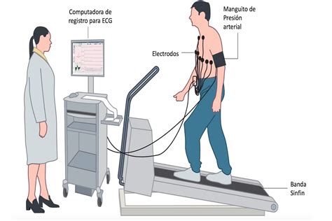 APTA 3.0: CATEGORÍA 5 "CIRCULACIÓN (ARTERIAL-VENOSA-LINFATICA)"