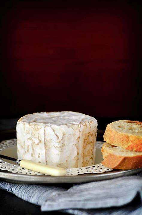 Chaource Cheese And Baguette Photograph by Jamie Watson - Pixels