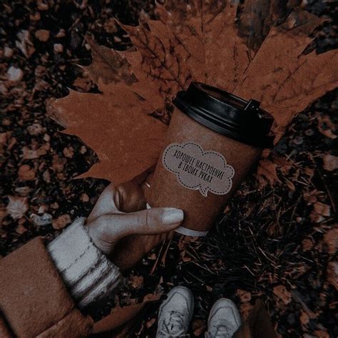 Aesthetic | Autumn | Aesthetic themes, Fall wallpaper, Aesthetic