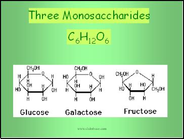 Carbohydrates - Presentation Biology