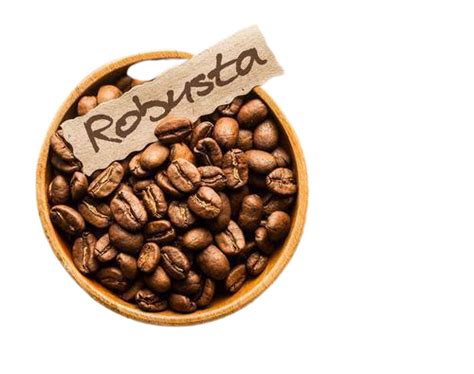 Robusta Coffee Beans | Inaexport