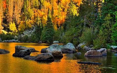 Paisajes de bosques en otoño - Imagui