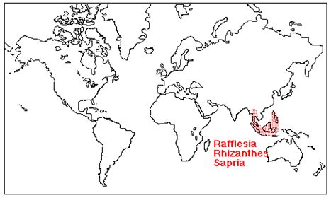 Parasitic Plant Connection - Rafflesiaceae