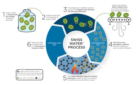 What is Decaf Coffee? Swiss Water Process Method.