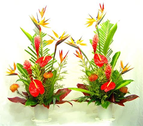 Hawaiian Tropical Flowers Delivery : Tropical Flower Crown, Tropical ...