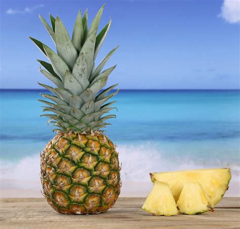 Curious Questions: Why are pineapples called pineapples, when they're not pines and not apples ...