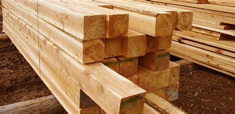 17 Types of Wood & Lumber For Building (With Pictures) | House Grail