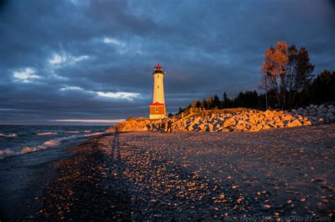 Lake Superior Lighthouse Keeping at Crisp Point | 365 Days of Birds