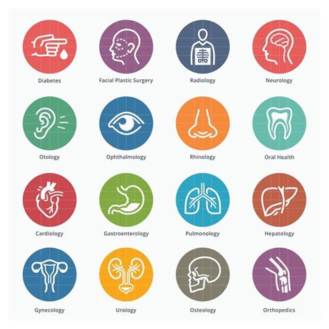 Colored Medical Specialties Icons 1 | Medical specialties, Medical icon ...