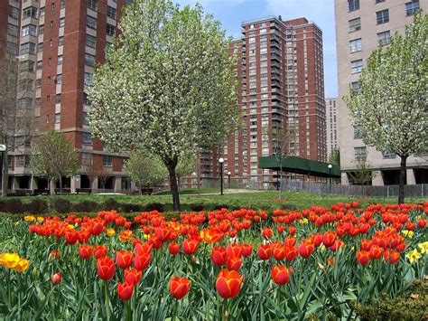 Co-op City celebrates 50 years of affordable housing in the Bronx