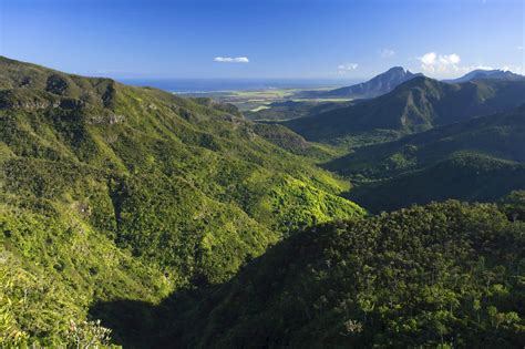 Black River Gorges National Park travel | Mauritius - Lonely Planet