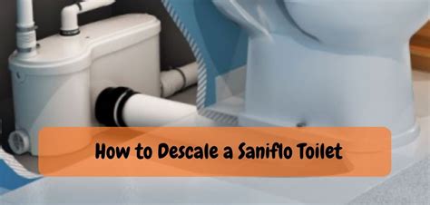 Are Saniflo Toilet Smells When Flushed - Know the True!