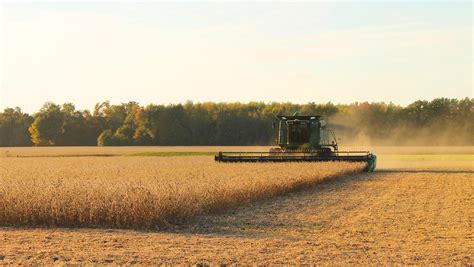 Soybean Farming