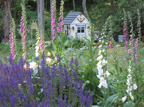 Whimsical Cottage Gardening...... - Sit With Me In My Garden