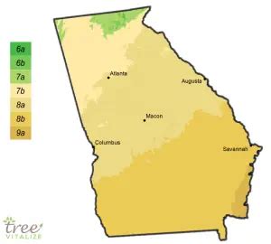 Planting Zones Georgia - Hardiness, Gardening & Climate Zone