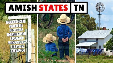 Amish Communities - Amish America