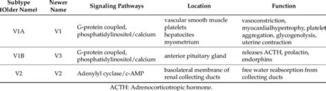 Vasopressin receptor location and functions. | Download Table