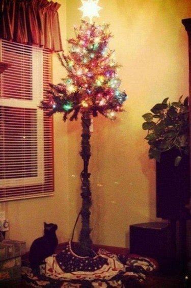 Wreck the Halls: 18 Pictures of Cats Destroying Christmas Trees | Cuteness