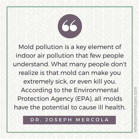 Everything You Need to Know About Toxic Mold & Human Health » Wholesome ...