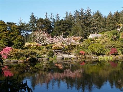 THE 10 BEST Things to Do in Coos Bay - 2020 (with Photos) | Tripadvisor - Must See Attractions ...