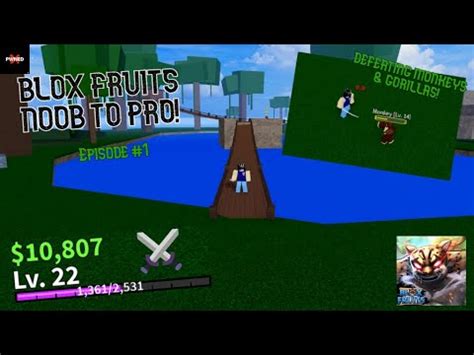 ⚔️ Blox Fruits NOOB TO PRO: Episode 1 - JUNGLE ISLAND! | Roblox - YouTube