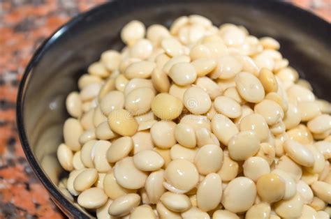 Closeup Bowl with Lupini Beans Superfood, Part of Stock Photo - Image of fanesca, delicious ...