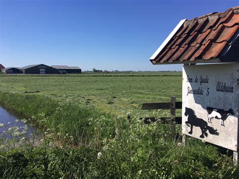 The Polder model – The Netherlands, May 2018