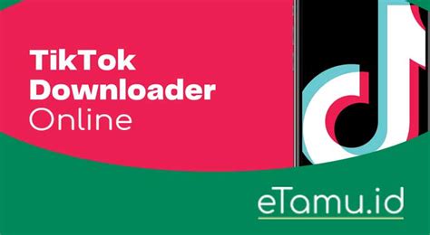 TikTok Downloader Online Gratis Terbaik Tanpa Watermark 2024