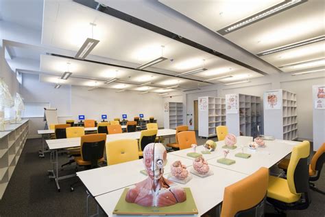 School Acoustics | Ecophon Products | Classroom ceiling, Low ceiling, Modular furniture system