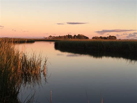 Salt Marshes: Working Hard Without Pay - WMAP Blog - State of Delaware