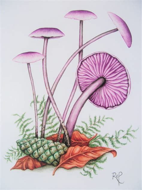 Purple Mushroom Art. Mushroom watercolour print. Mushroom art. | Etsy